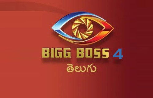 bigg boss 4 reality show