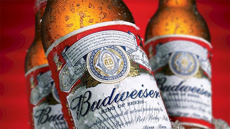 you will never drink budweiser beer if you know this truth 