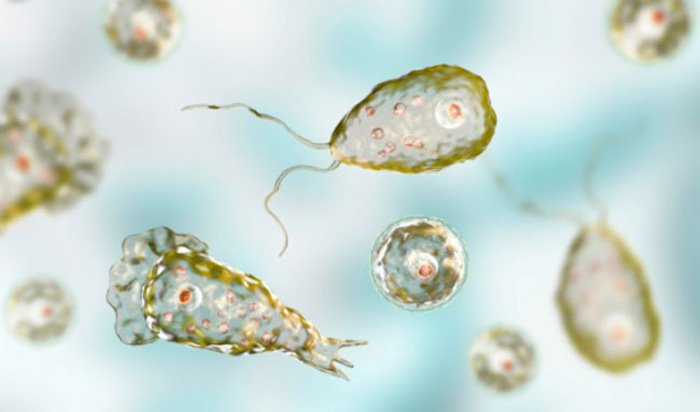 Brain-eating amoeba found in texas water