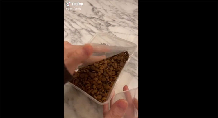 do not tease dog with its food viral video 