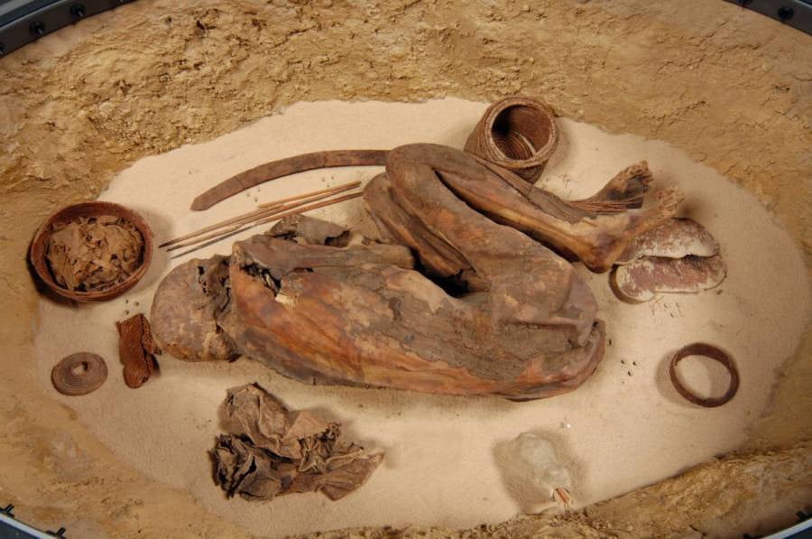 5,600 Year Old Mummy Reveals Oldest Egyptian Embalming practice