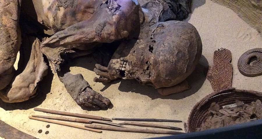 5,600 Year Old Mummy Reveals Oldest Egyptian Embalming practice