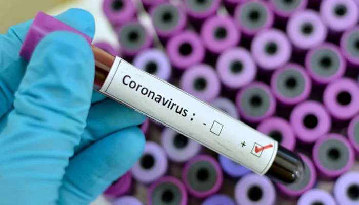 World Health Organization representatives reveal corona virus mark