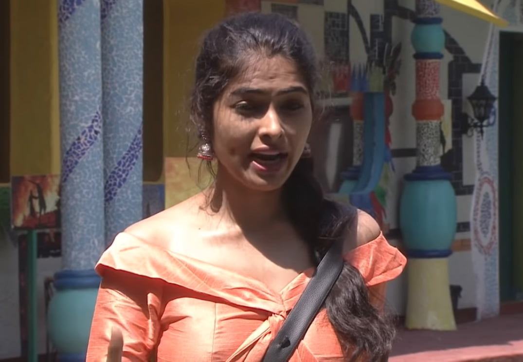 divi eliminated this week from bigg boss 4 house