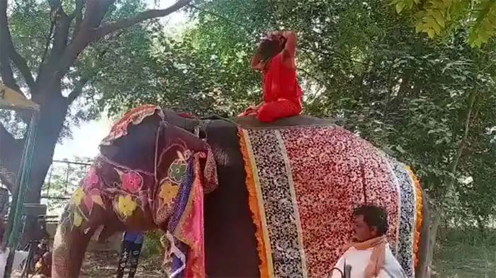 Baba Ramdev Falls Off Elephant while doing Yoga Asanas