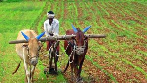 good news to farmers earn 36 thousand for a year