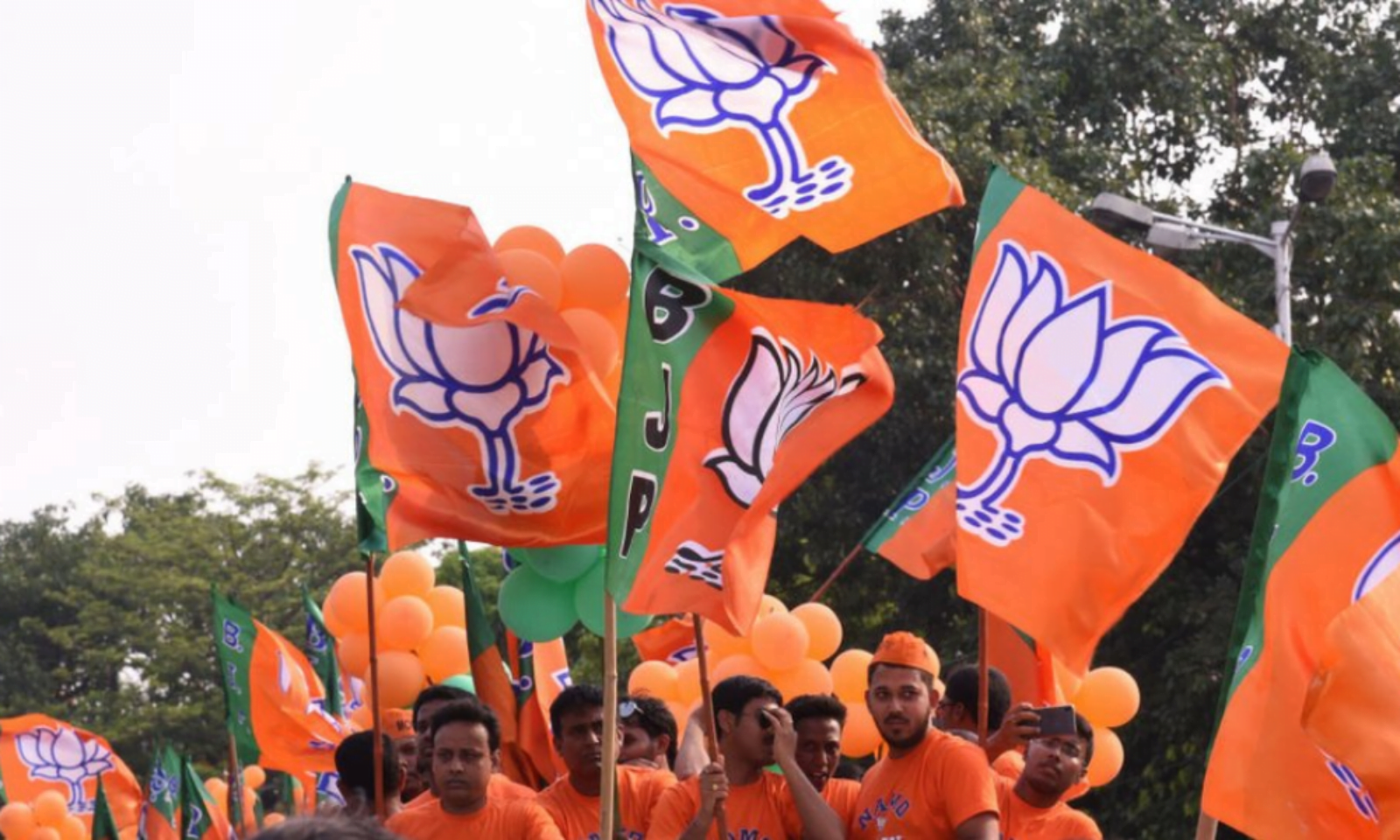 BJP Party : Big Political issues inside