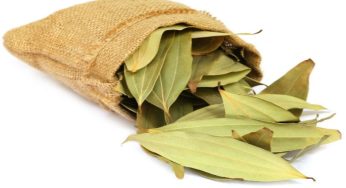 Benefits of Biryani leaf: బిర్యానీ ఆకు కాల్చి ఆ వాసన చూడడం వలన ఏమిజరుగుతుందో తెలుసా??