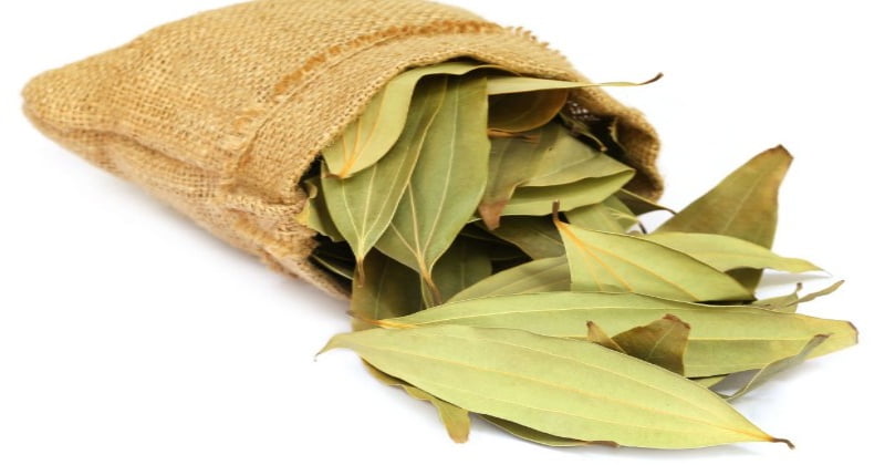 Benefits of biryani leaf
