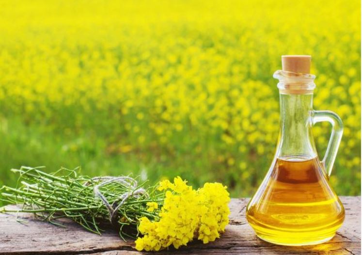 Benefits of mustard oil