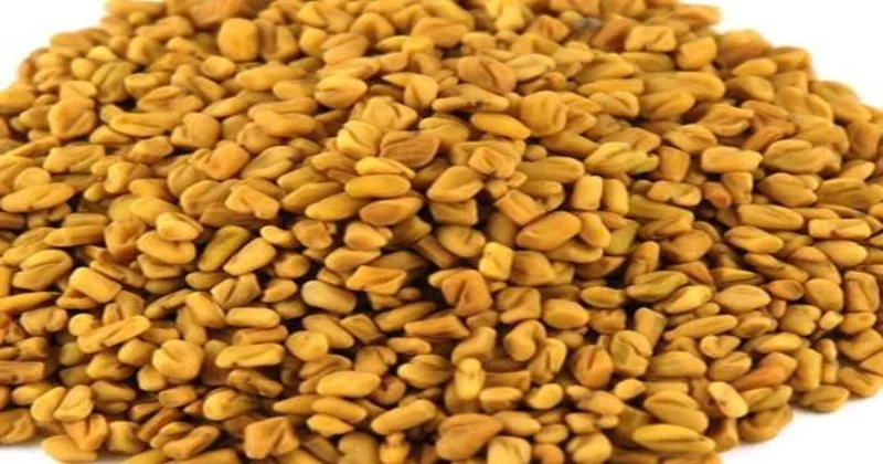 Fenugreek seeds: మెంతులు, మెంతికూర ప్రయోజనాలు తెలుసుకోండి!!