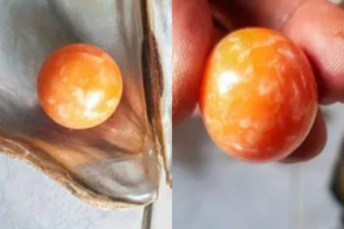 Thailand Orange Melo pearl Luck