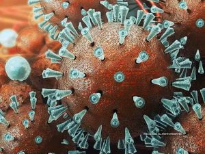 Corona virus second wave in India