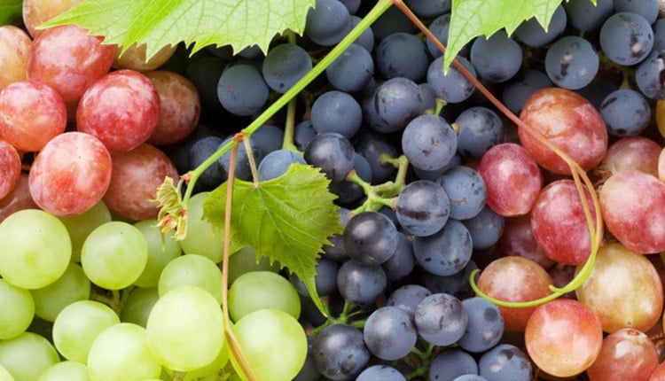 hidden-benefits-of-grapes