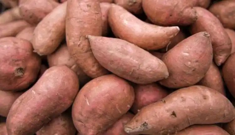 Eat sweet potato if you health problems