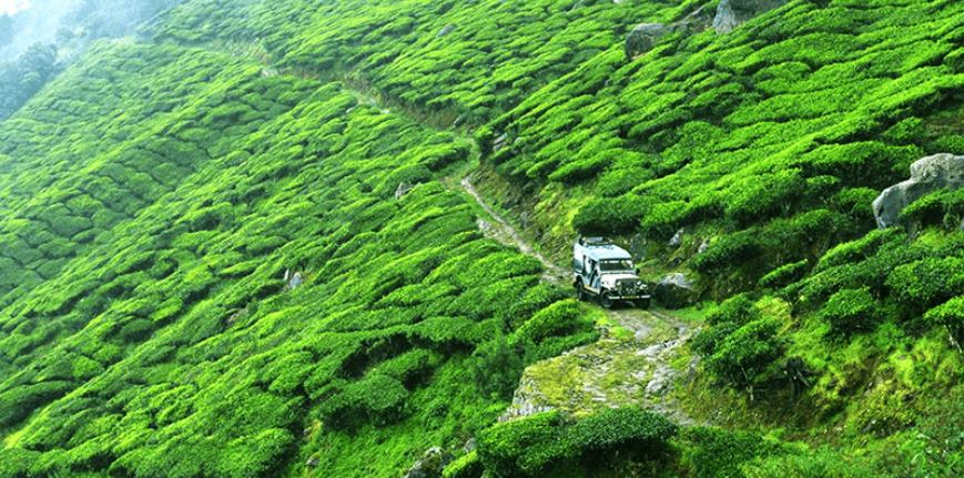 Places to visit in Munnar Part 1