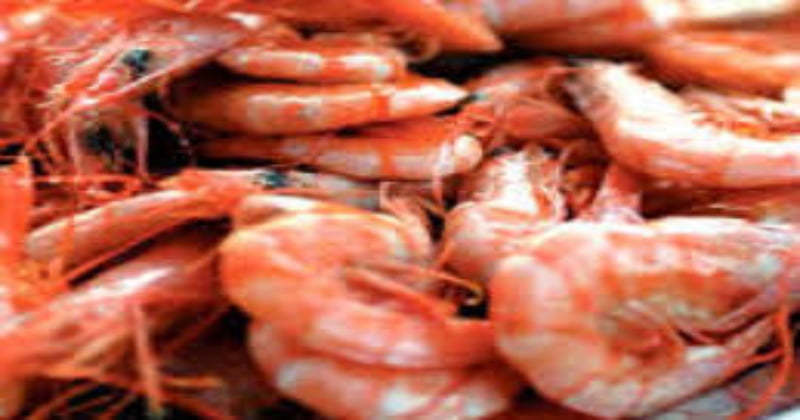 Nutritional values in prawns