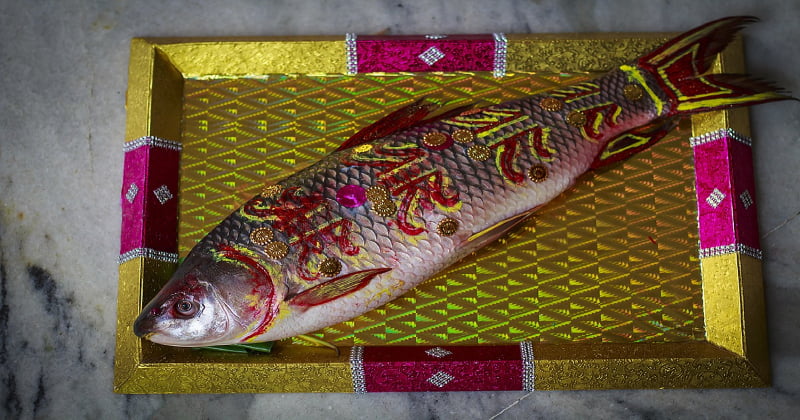 Fish as wedding gift