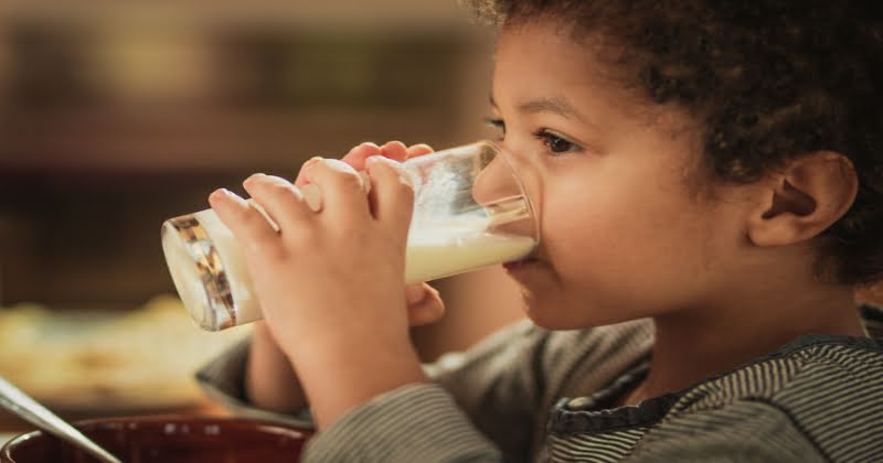 Alternatives for milk for children