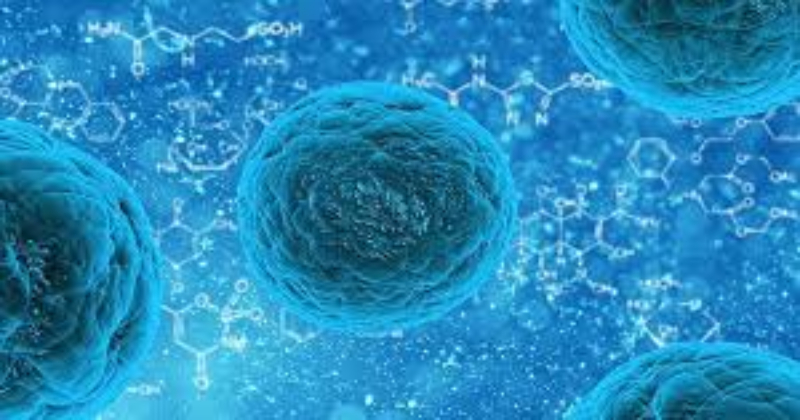 benefits-of-stem-cells