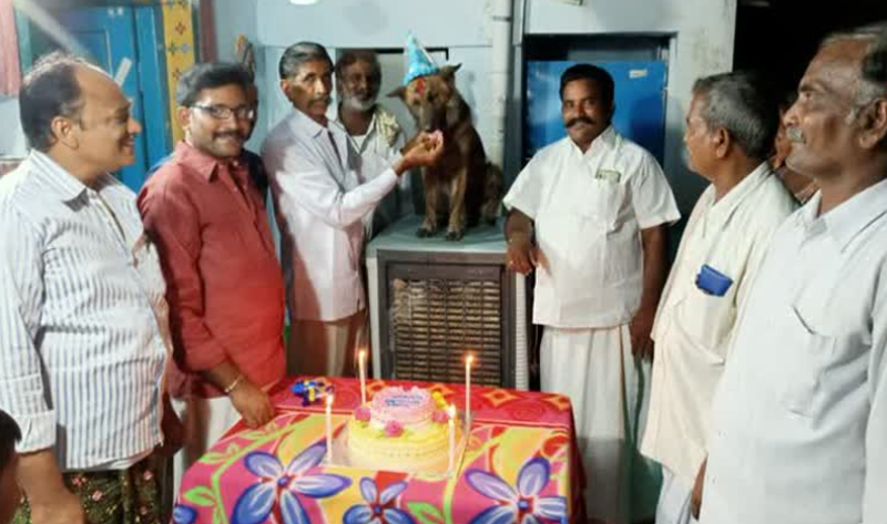 birthday celebrations for a Pet dog in singavaram kurnool district