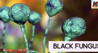 Black Fungus: బ్లాక్ ఫంగ‌స్.. మీరు త‌ప్ప‌కుండా తెలుసుకోవాల్సింది ఏంటంటే