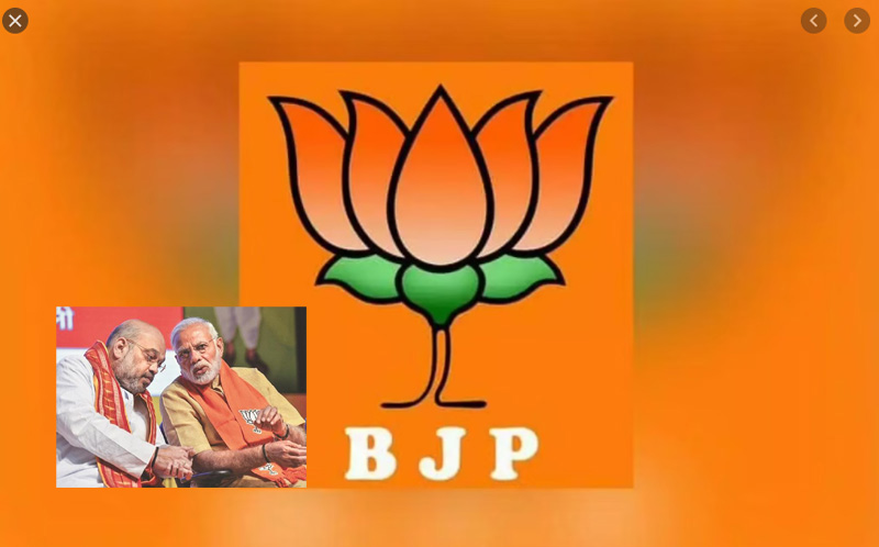 Huge changes in the BJP national executive