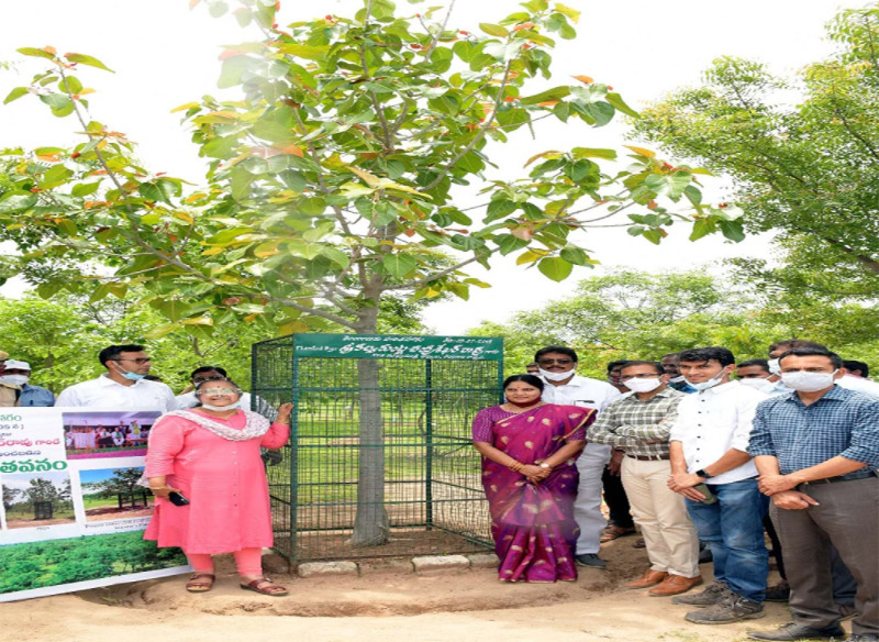 officials take photo at tree which planted by CM KCR in first phase Haritha haram