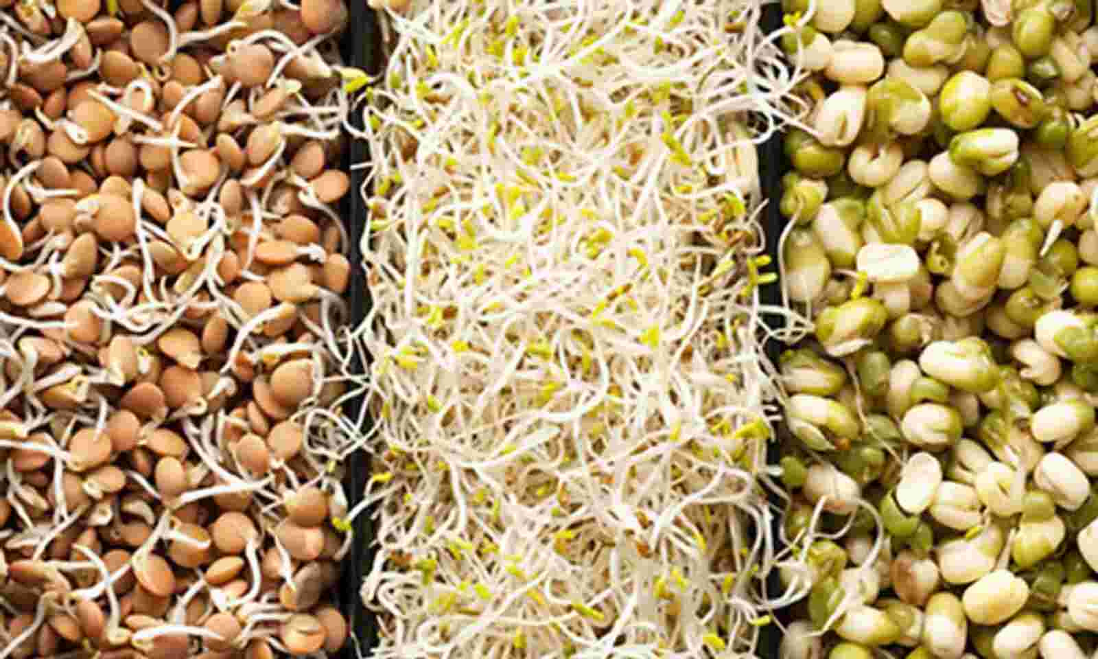 Excellent health Benefits of Sprouts: 
