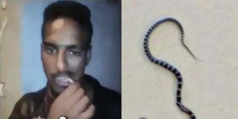Man Eats Snake Video Viral