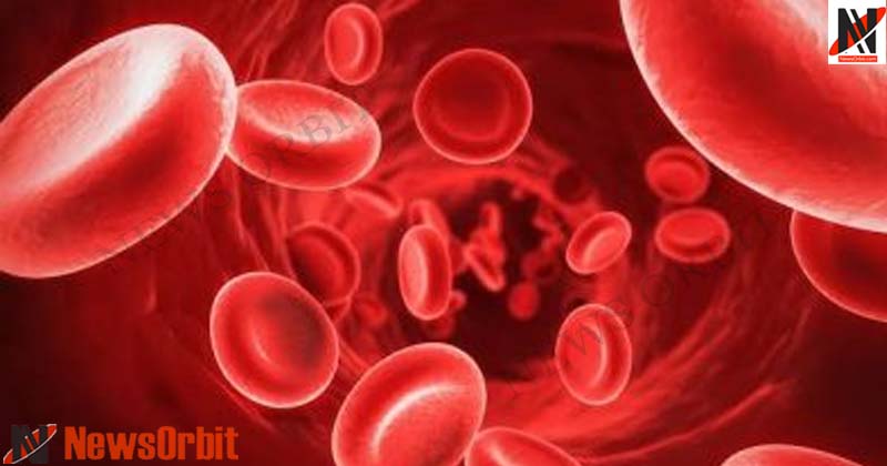Blood Cells: Increase in Very Fast Remedies