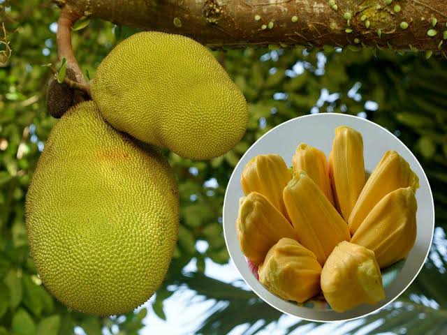 Jackfruit naturally control Diabeties: levels