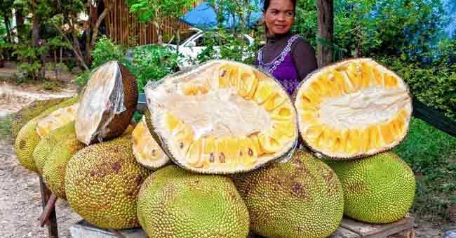 Jackfruit naturally control Diabeties: levels