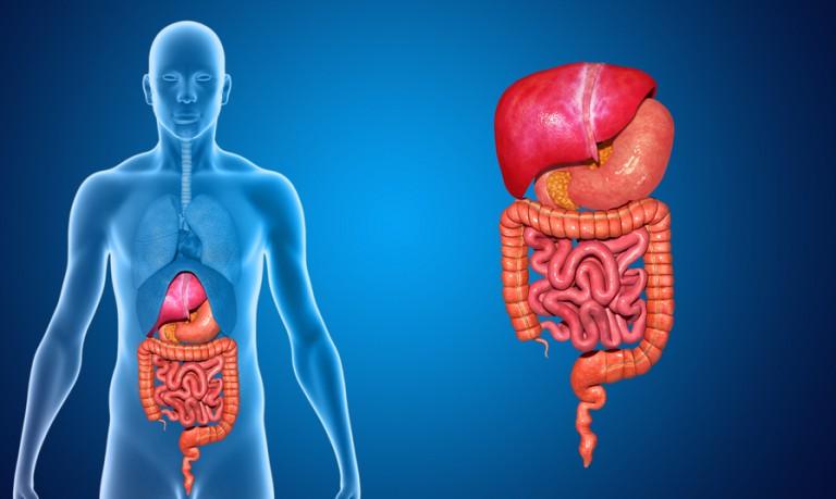 Symptoms of food Not Digestive System: taken 
