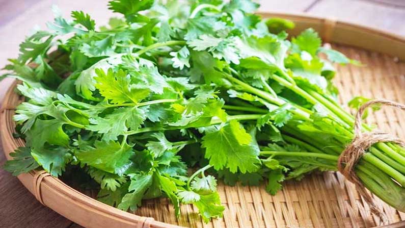 One Glass Coriander hot water to check these health problems 