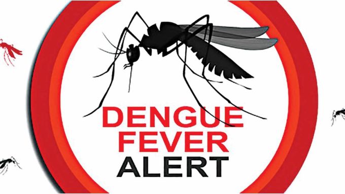 Ayurvedic medicine to cures Dengue Fever: 