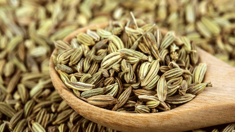 Fennel seeds water helps Weight Loss: