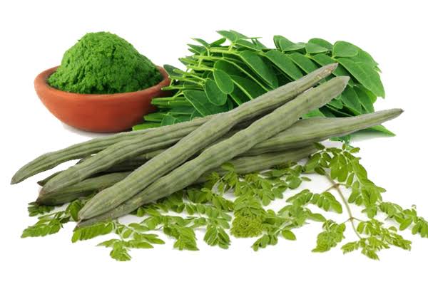 Moringa Leaves tea health benefits