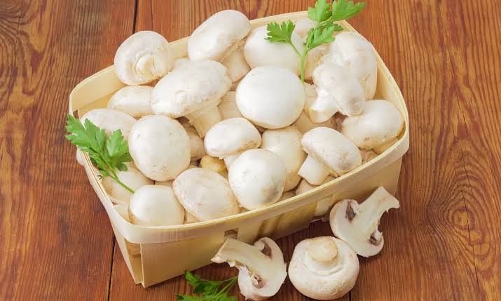 Amazing health benifits of Mushrooms: 