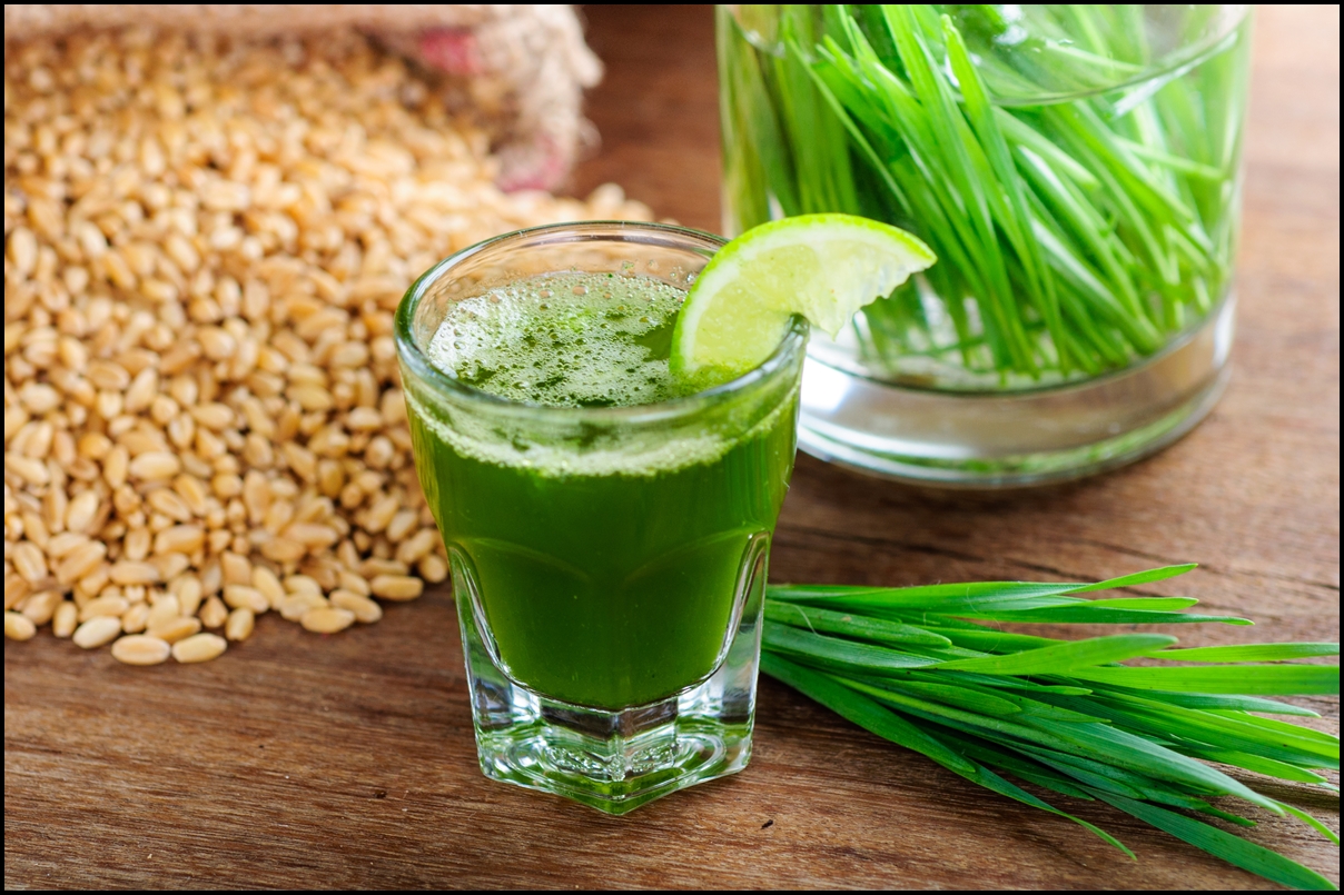 Wheat Grass: to check long term diseases