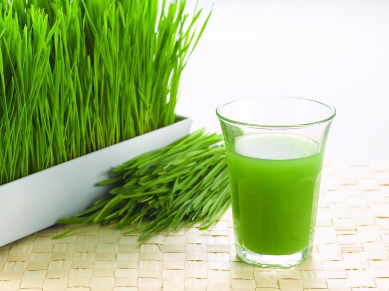 Wheat Grass: to check long term diseases