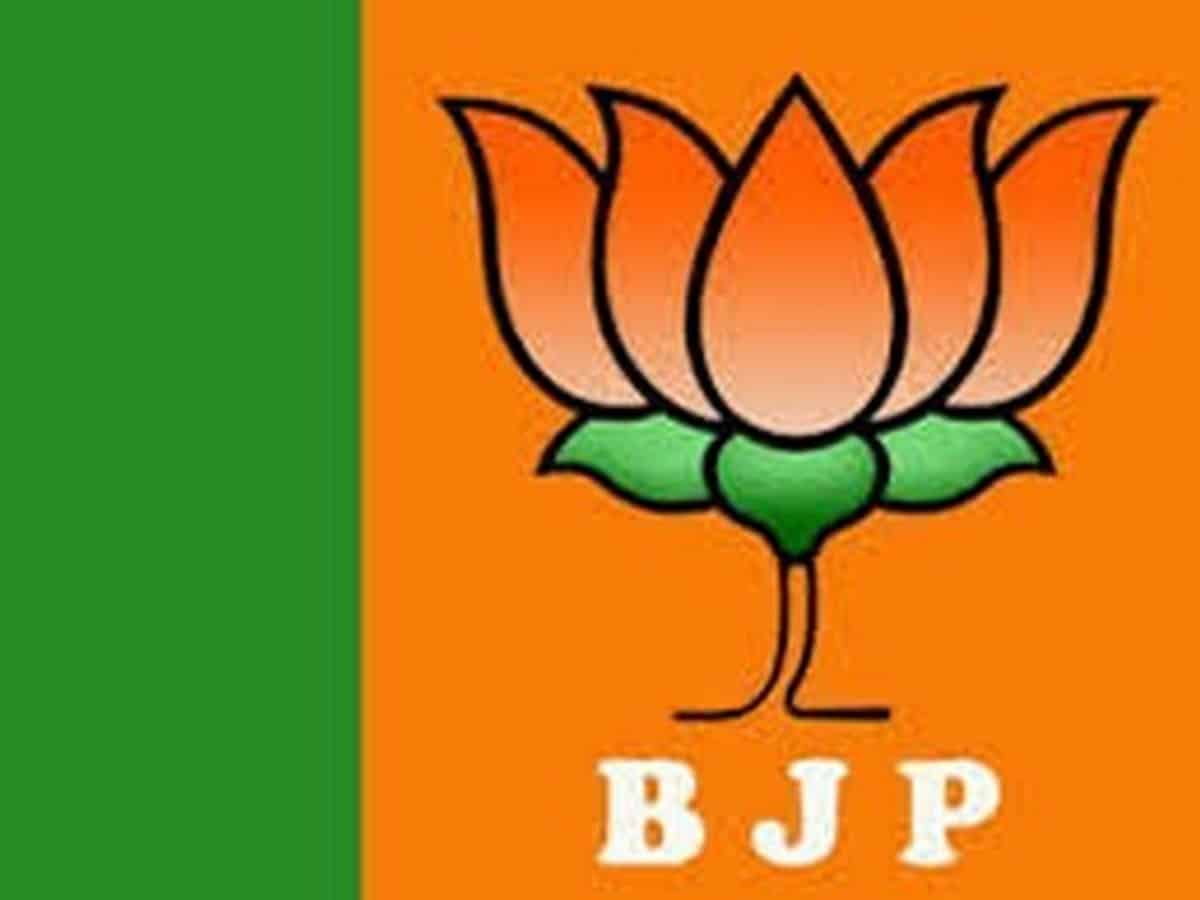 BJP central committee