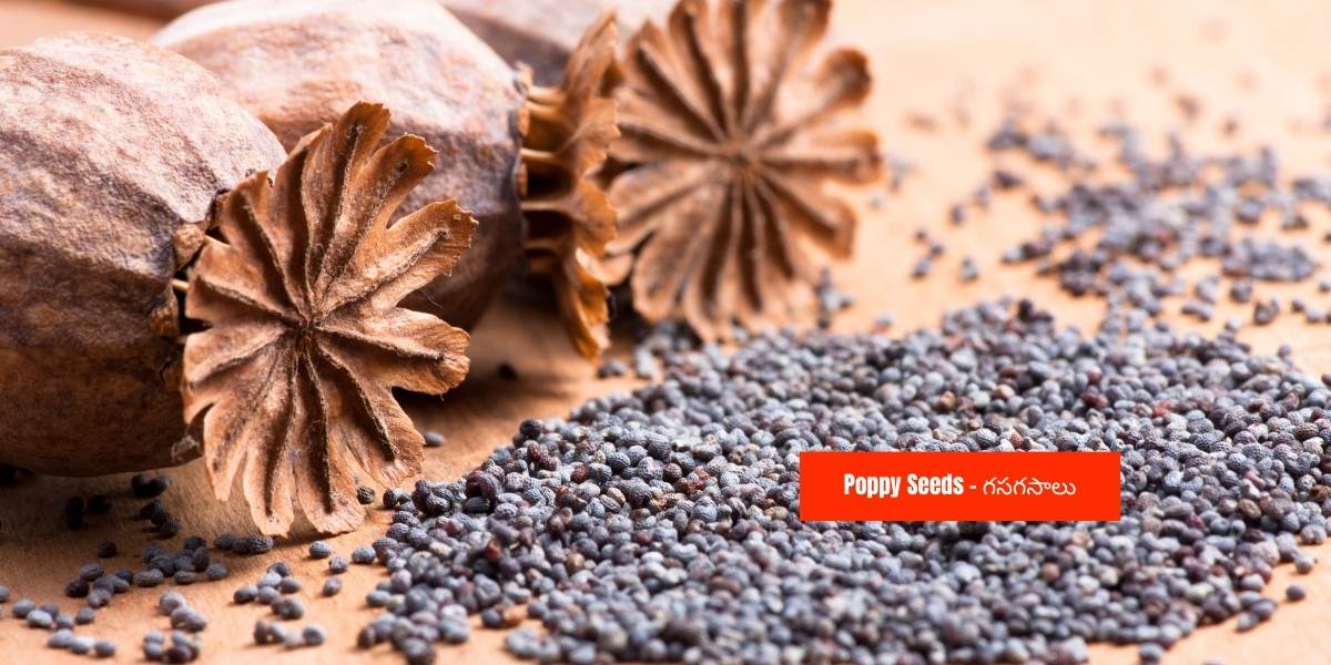 Poppy Seeds: From Headache to Bloating Many Health Benefits of Poppy Seeds in Telugu