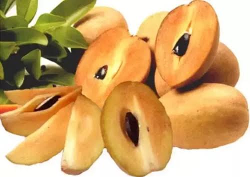 Surprising health benefits of Chiku Fruit: 