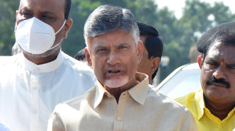 AP Municipal Elections: TDP Targeted for 4 Urbans 
