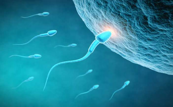 What is Sperm Count: and take precautions