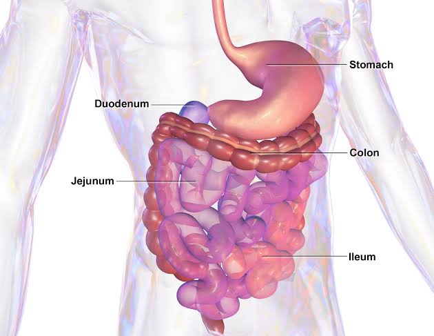 Colon Infection: Symptoms and take precautions