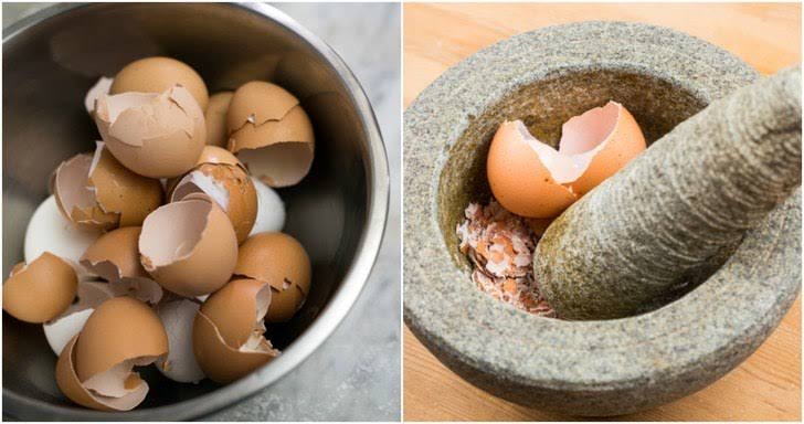 Egg Shell: health and beauty benefits