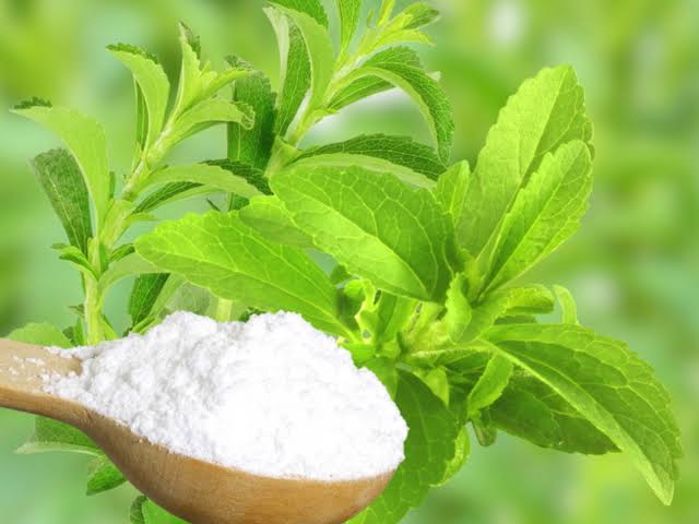Stevia Plant: to check diabetes