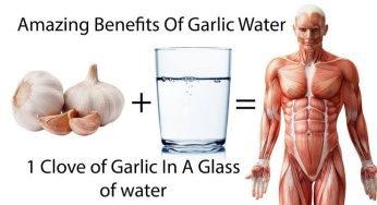 Garlic Water: వెల్లుల్లి నీటితో ఈ ఆరోగ్య సమస్యలు దూరం..!! 